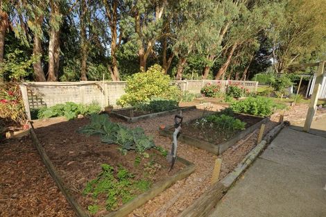 Photo of property in 500 Mill North, Roslyn Bush, Invercargill, 9876