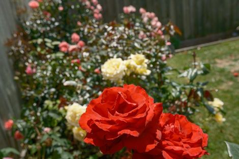 Photo of property in 242 Vaughan Road, Owhata, Rotorua, 3010