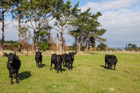 Photo of property in 112 Avenue Road, Foxton, 4891