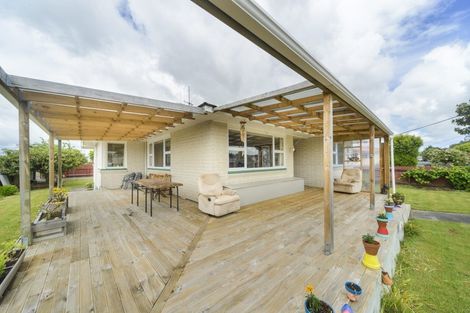 Photo of property in 58 Sherwill Street, Feilding, 4702