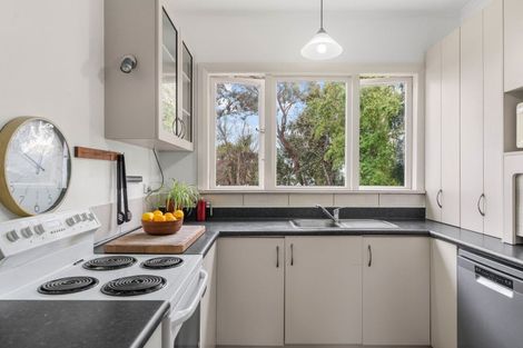 Photo of property in 35 Cornwall Street, Masterton, 5810