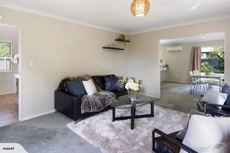 Photo of property in 231a Geraldine Street, Edgeware, Christchurch, 8013