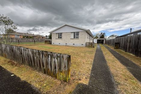 Photo of property in 19 Seath Avenue, Taumarunui, 3920