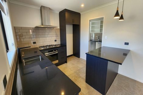 Photo of property in 114b Lisle Farm Drive, Pukekohe, 2120