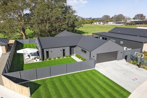 Photo of property in 24 Plains Avenue, Masterton, 5810