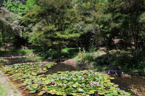 Photo of property in 281 Woodland Road, Tahawai, Katikati, 3170
