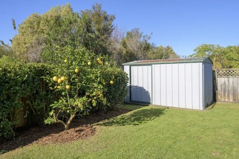 Photo of property in 54 Mahonia Place, Pyes Pa, Tauranga, 3112