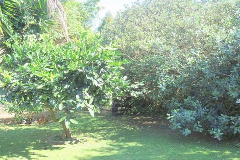 Photo of property in 24 Tait Street, Te Kamo, Whangarei, 0112