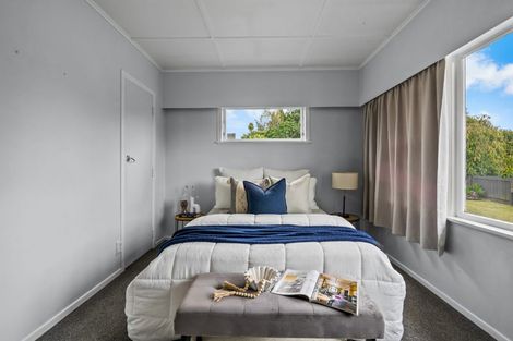 Photo of property in 41 Fitzroy Avenue, Fitzroy, Hamilton, 3206