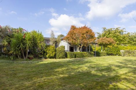 Photo of property in 60 Dalmore Way, Acacia Bay, Taupo, 3385
