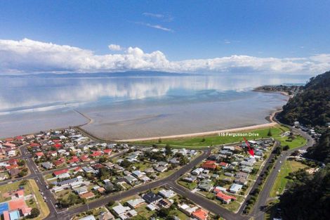 Photo of property in 115 Fergusson Drive, Thames, 3500