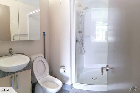 Photo of property in Dual Apartments, 108/142u Vivian Street, Te Aro, Wellington, 6011