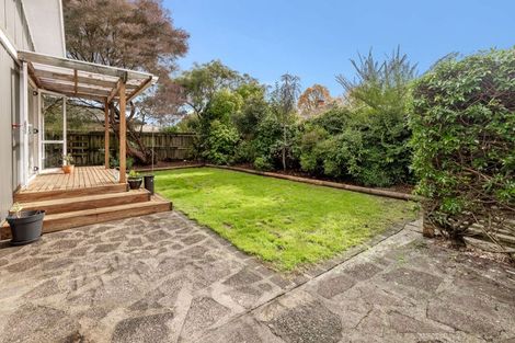 Photo of property in 59c Elizabeth Street, Victoria, Rotorua, 3010