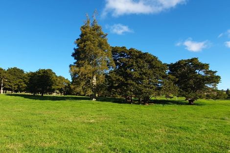 Photo of property in 550 Burnside Road, Makarau, Warkworth, 0873