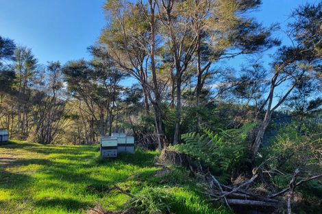 Photo of property in 477 Stafford Loop Road, Awatuna, 7882