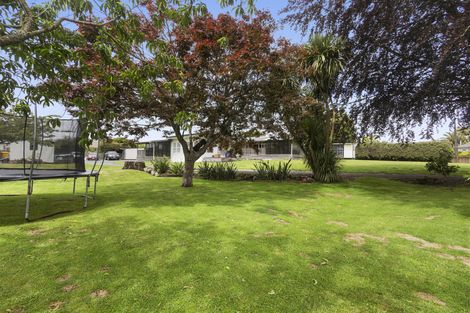 Photo of property in 3 Fitzherbert Street, Putaruru, 3411