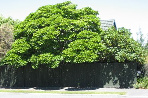 Photo of property in 104 Rugby Street, Merivale, Christchurch, 8014