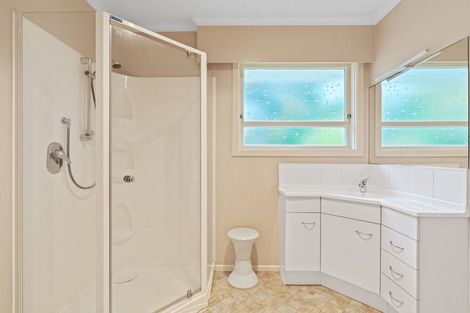 Photo of property in 76 Winchester Street, Levin, 5510