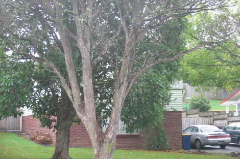 Photo of property in 46 Eyre Street, Henderson, Auckland, 0612