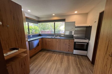 Photo of property in 262 Riccarton Road, Upper Riccarton, Christchurch, 8041