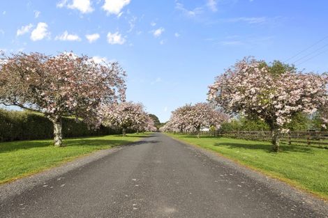 Photo of property in 803e Bruntwood Road, Tamahere, Hamilton, 3283