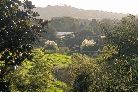 Photo of property in 165 Buckville Road, Buckland, Pukekohe, 2677