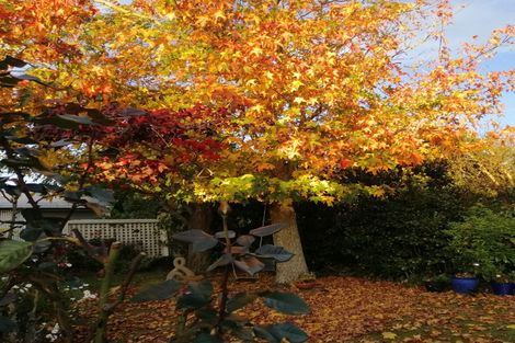 Photo of property in 30 Dundas Street, Porangahau, 4293