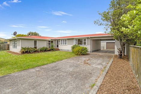 Photo of property in 68 Salisbury Street, Ashhurst, 4810