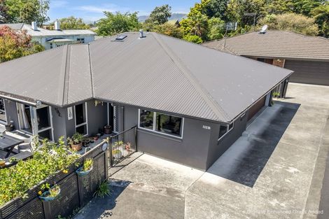 Photo of property in 112b Weraroa Road, Levin, 5510