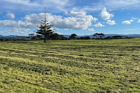 Photo of property in 213 Black Swamp Road, Mangawhai, Wellsford, 0975