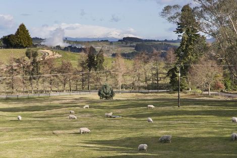 Photo of property in 558 Palmer Mill Road, Wairakei, Taupo, 3384