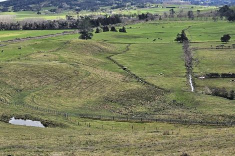Photo of property in 113c Marua Road, Hikurangi, 0181