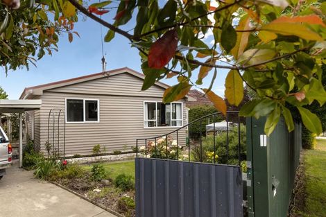 Photo of property in 196 Maxwell Road, Redwoodtown, Blenheim, 7201