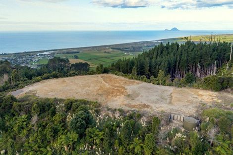 Photo of property in 201 Kokako Heights, Matata, 3194