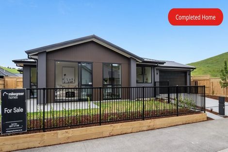 Photo of property in 219 Adler Drive, Ohauiti, Tauranga, 3112