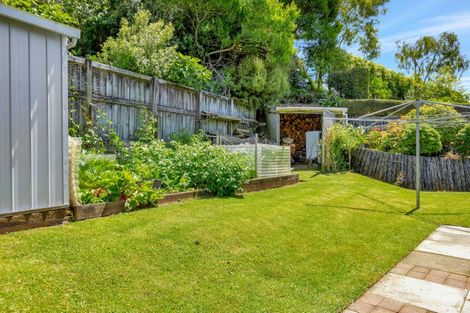 Photo of property in 38 Roto Street, Hurdon, New Plymouth, 4310