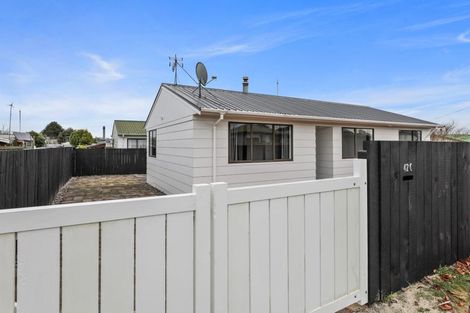 Photo of property in 42 Rotokawa Street, Taupo, 3330