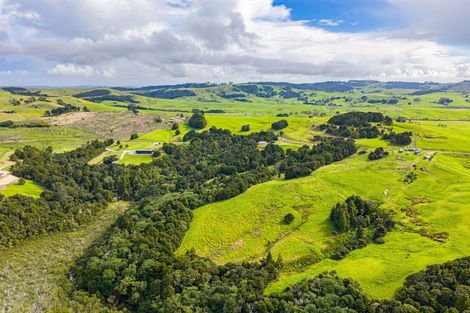 Photo of property in 308b Arapaoa Road, Tinopai, Matakohe, 0593