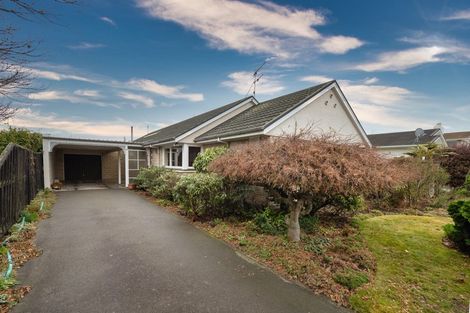 Photo of property in 45 Churchill Avenue, Allenton, Ashburton, 7700
