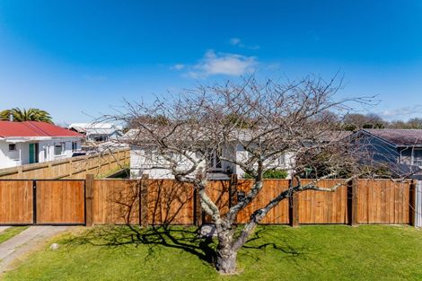 Photo of property in 1031 Beatty Street, Mayfair, Hastings, 4122