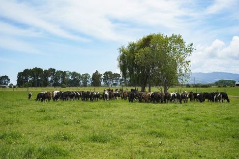 Photo of property in 306 Ferry Road, Waltham, Christchurch, 8011