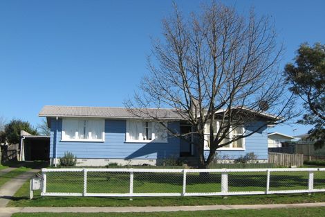 Photo of property in 14 Fergusson Street, Marton, 4710