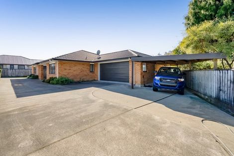 Photo of property in 55a Seyton Street, Stratford, 4332