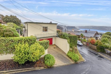 Photo of property in 19 Tweed Street, Roslyn, Dunedin, 9010