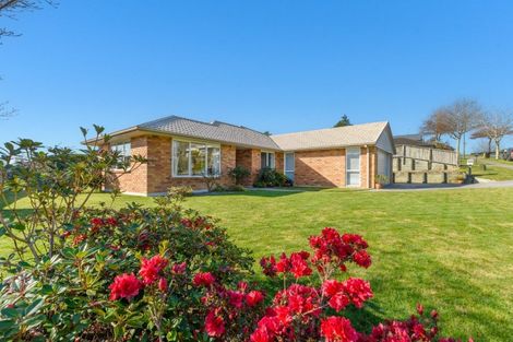 Photo of property in 124 Rowesdale Drive, Ohauiti, Tauranga, 3112