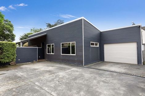 Photo of property in 30 Knowles Street, Terrace End, Palmerston North, 4410