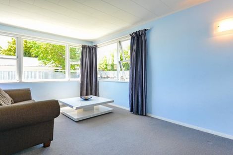 Photo of property in 1017 Frederick Street, Mahora, Hastings, 4120