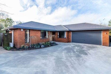 Photo of property in 8 Lovelock Street, Dallington, Christchurch, 8061