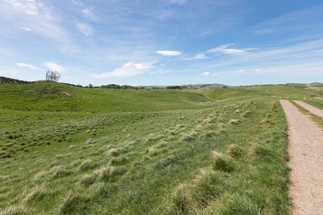 Photo of property in 300 Pattison Road, Akina, Hastings, 4122