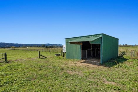 Photo of property in 99 Selwyn Road, Poroporo, Whakatane, 3193